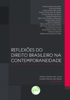 6799_-_Reflexoes_do_direito_brasileiro_na_contemporaneidade-8039590f A efetividade dos meios alternativos de solu&ccedil;&atilde;o de conflitos no processo civil contempor&acirc;neo