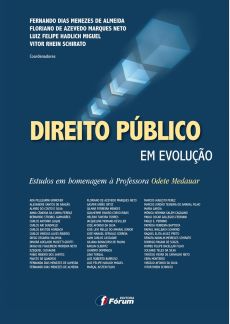6910_-_Direito_publico_em_evolucao-e0d19935 Breves considera&ccedil;&otilde;es sobre os modernos desafios para a arbitragem em mat&eacute;ria de investimento: princ&iacute;pios substantivos